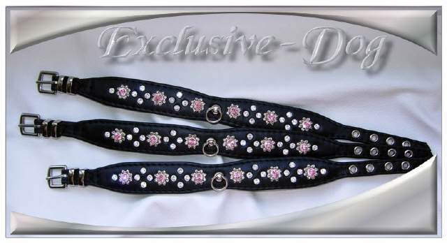 Bild vergr&ouml;&szlig;ern