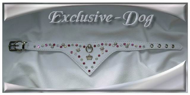 Bild vergr&ouml;&szlig;ern